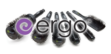 Ergo Logo website